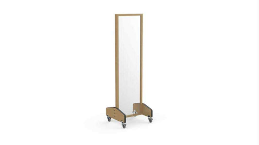 Mobile Rehab Mirror